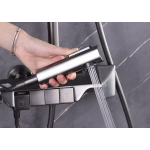 Richford RF8828 銅琴按鍵雨淋花灑套裝