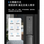 Thanko X1 人臉識別 智能門鎖