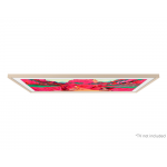 Samsung 三星 VG-SCFF75SGMZK 75吋 The Frame Pro 斜角風典雅沙金邊框 (2025) (無有線電視接口)