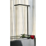 Waldmann WAL00813566 Lavigo R 多功能落地護眼落地燈(自動感應) (黑色)