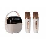 Edifier Q3K 便攜式 雙咪卡拉OK音箱 (雲岩白)