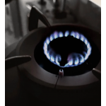 TAADA 多田牌 LW2611A-B 5000W 75cm 雙頭石油氣煮食爐