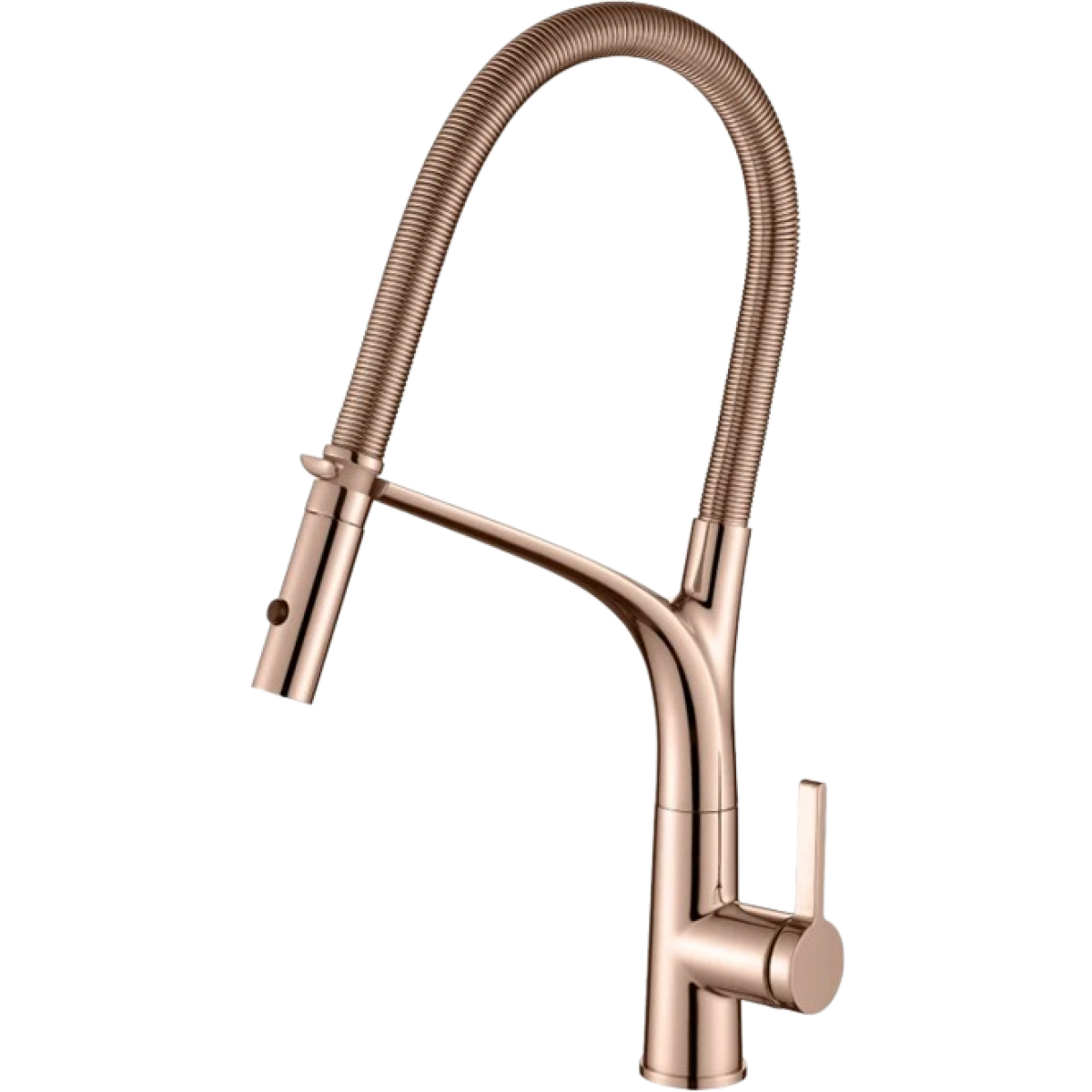 Richford RF59905SCG 單把廚房龍頭