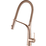 Richford RF59905SCG 單把廚房龍頭