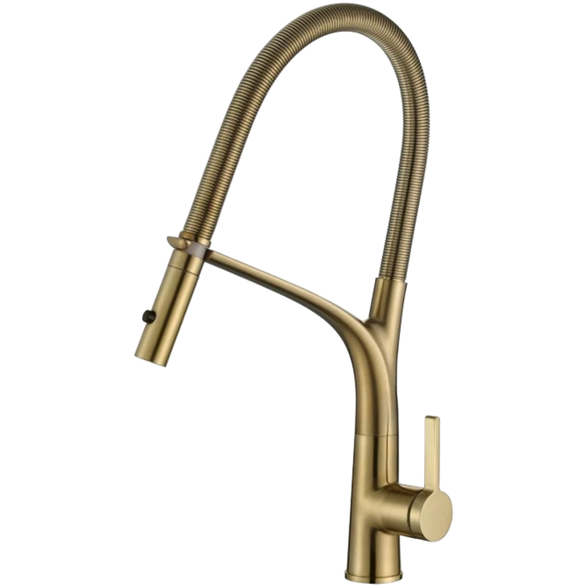 Richford RF59905SG 單把廚房龍頭