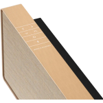 Bang & Olufsen Beosound Stage 杜比全景聲 (香檳金)