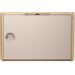 Bang & Olufsen Beosound Level 可攜式家庭揚聲器 (香檳金)