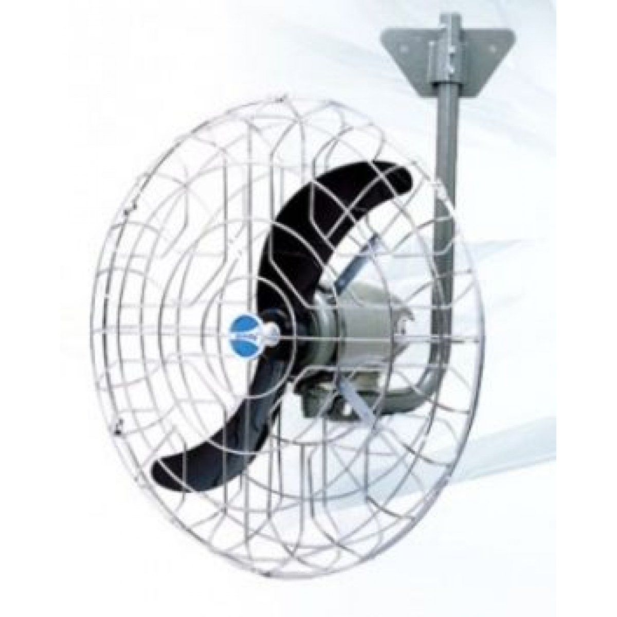 Windy 大風牌 WW-200M 20吋 牛角掛牆風扇 (密網)