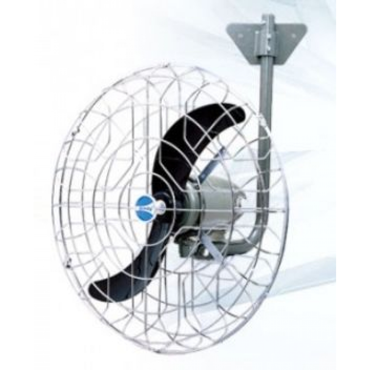 Windy 大風牌 WW-255M 25吋 牛角掛牆風扇 (密網)